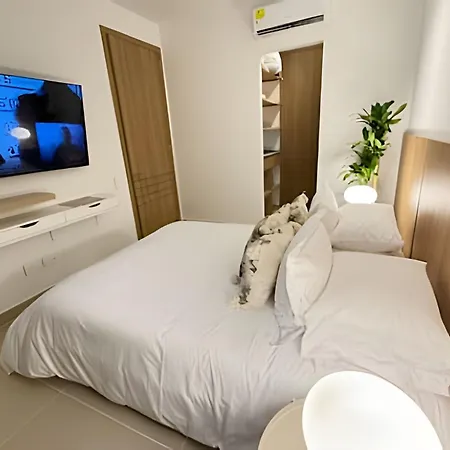 Elegante Con Balcón En Apartamento